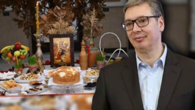 Izvor: Foto Kurir/Instagram/buducnostsrbijeav