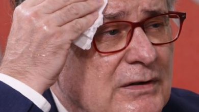 Izvor: Foto Niš TV Vikipedija/ Ilustracija ChatGpt