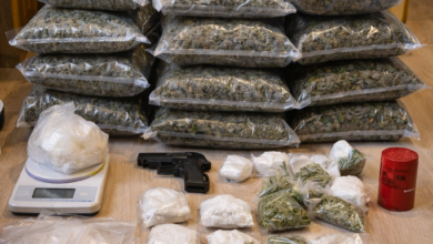 Izvor: Foto Niš TV/Ilustracija ChatGpt