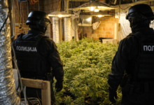 Izvor: Foto Niš TV /Ilustracija ChatGpt