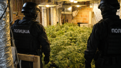 Izvor: Foto Niš TV /Ilustracija ChatGpt