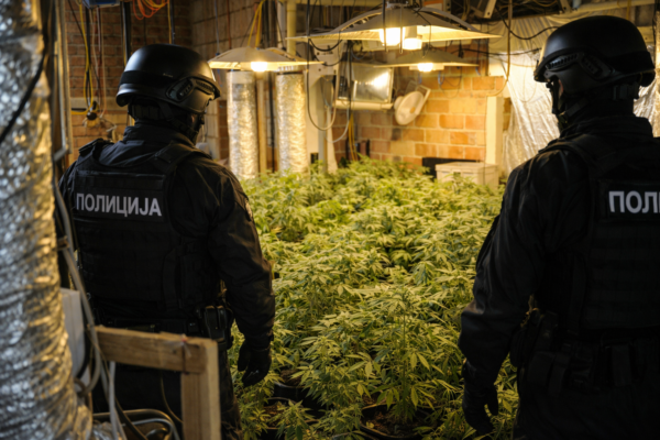 Izvor: Foto Niš TV /Ilustracija ChatGpt