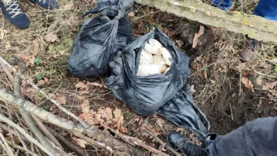 Izvor: Foto Blic/MUP Srbije