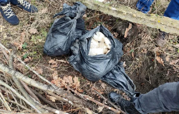 Izvor: Foto Blic/MUP Srbije