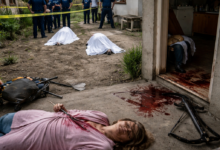 Izvor: Foto Niš TV/Ilustracija ChatGpt