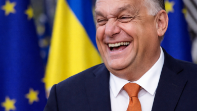 Izvor.Foto Niš TV/Ilustracija ChatGpt