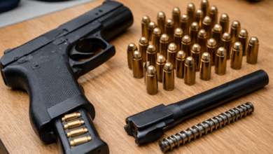 Izvor: Foto Niš TV/ ChatGpt