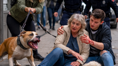 Izvor: Foti Niš TV/Ilustracija ChatGpt