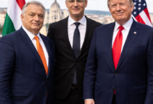 Izvor: Foto Niš TV / Ilustracija ChatGpt