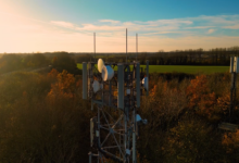 Izvor: Foto Niš TV/screenshop