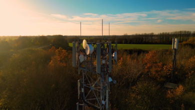 Izvor: Foto Niš TV/screenshop
