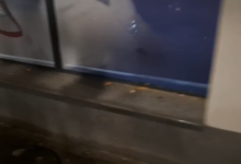 Foto: Pokret za narod i državu