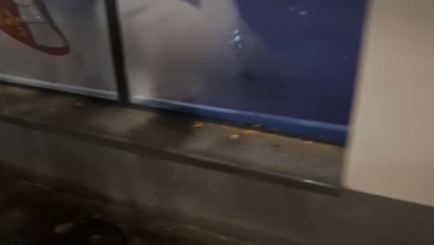 Foto: Pokret za narod i državu