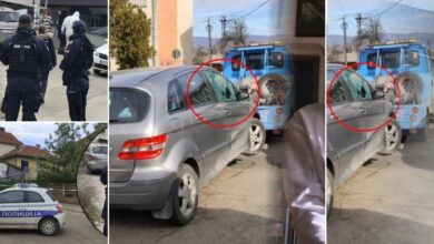 Izvor: Foto Kurir/Niš TV ilustracija ChatGpt