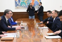 Izvor: Foto prinstcreen Instagram/buducnostsrbijeav