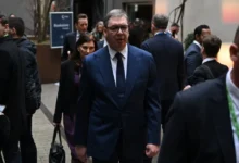 Izvor: Foto printscreen Insragram/budućnost srbijeav