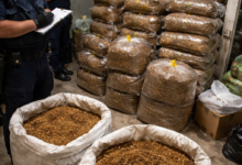 Izvor: Foto Niš TV/IlustracijaChatGpt