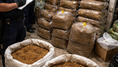 Izvor: Foto Niš TV/IlustracijaChatGpt