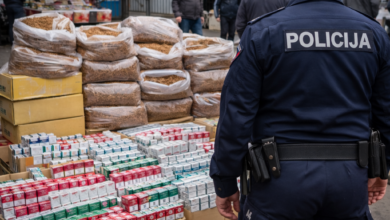 Izvor: Foto Niš TV/IlustracijaChatGpt