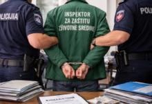 Izvor: Foto Niš TV/IlustracijaChatGpt