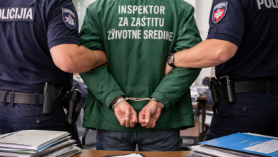 Izvor: Foto Niš TV/IlustracijaChatGpt