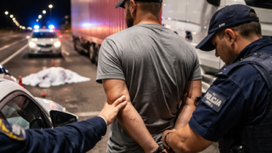 Izvor: Foto Niš TV/IlustracijaChatGpt