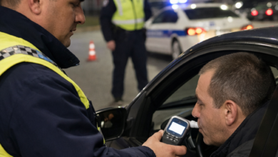 Izvor: Foto Niš TV/Ilustracija ChatGpt