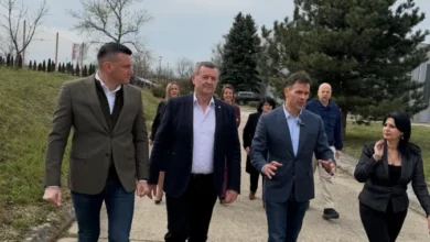 Izvor: Foto TV Pink prinscreen