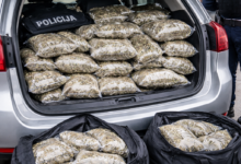 Izvor: Foto Niš TV/IlustracijaChatGpt