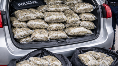 Izvor: Foto Niš TV/IlustracijaChatGpt