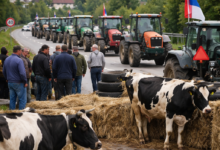 Izvor: Foto Niš TV/Ilustracija ChatGpt