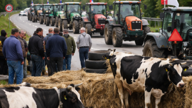 Izvor: Foto Niš TV/Ilustracija ChatGpt