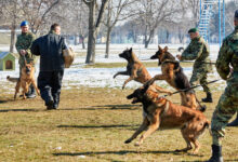 Izvor: Foto Ministarstvo odbrane