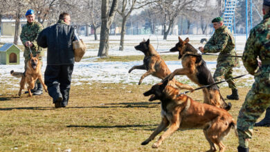 Izvor: Foto Ministarstvo odbrane