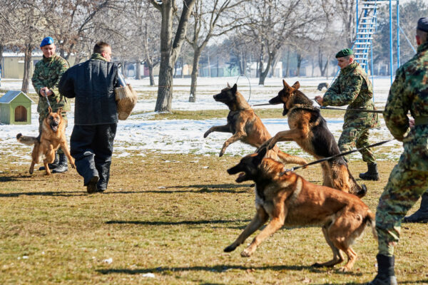 Izvor: Foto Ministarstvo odbrane