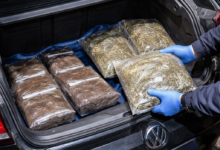 Izvor: Foto Niš TV/IlustracijaChatGpt