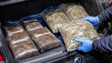 Izvor: Foto Niš TV/IlustracijaChatGpt