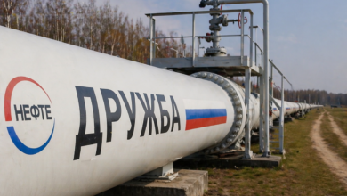 Izvor: Foto Niš TV/Ilustracija ChatGpt