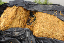 Izvor: Foto MUP Srbije