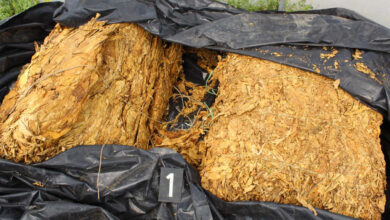 Izvor: Foto MUP Srbije