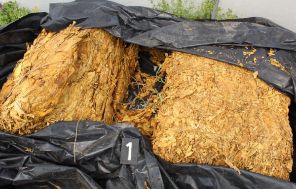 Izvor: Foto MUP Srbije