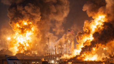 Izvor: Foto Niš TV/IlustracijaChatGpt