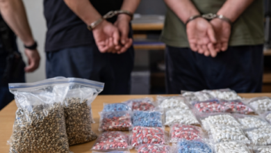 Izvor: Foto Niš TV/IlustracijaChatGpt