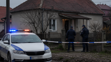 Izvor: Foto Niš TV/IlustracijaChatGpt