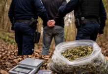 Izvor: Foto Niš TV/ilustracijaChatGpt