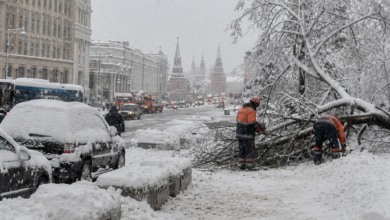 Izvor: Foto Niš TV/IlustracijaChatGpt
