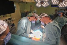 Izvor: Foto UKC Niš