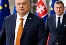 Izvor: Foto Niš TV/IlustracijaChatGpt