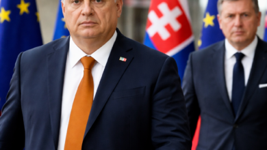 Izvor: Foto Niš TV/IlustracijaChatGpt