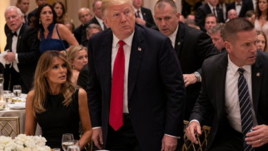 Izvor: Foto Niš TV/IlustracijaChatGpt